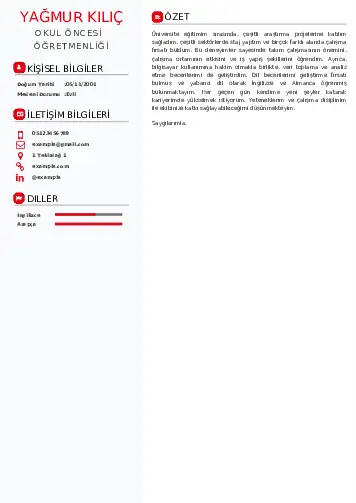 Okul Öncesi Öğretmeni Öğretmenliği Cv Örnekleri cv indir